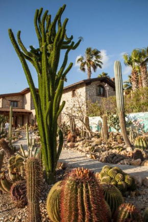 Garden Cactus Villaggio Mosè